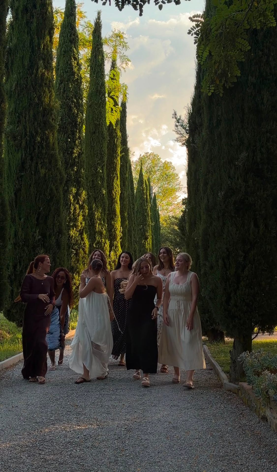 Women walking beneath a cypress-lined path