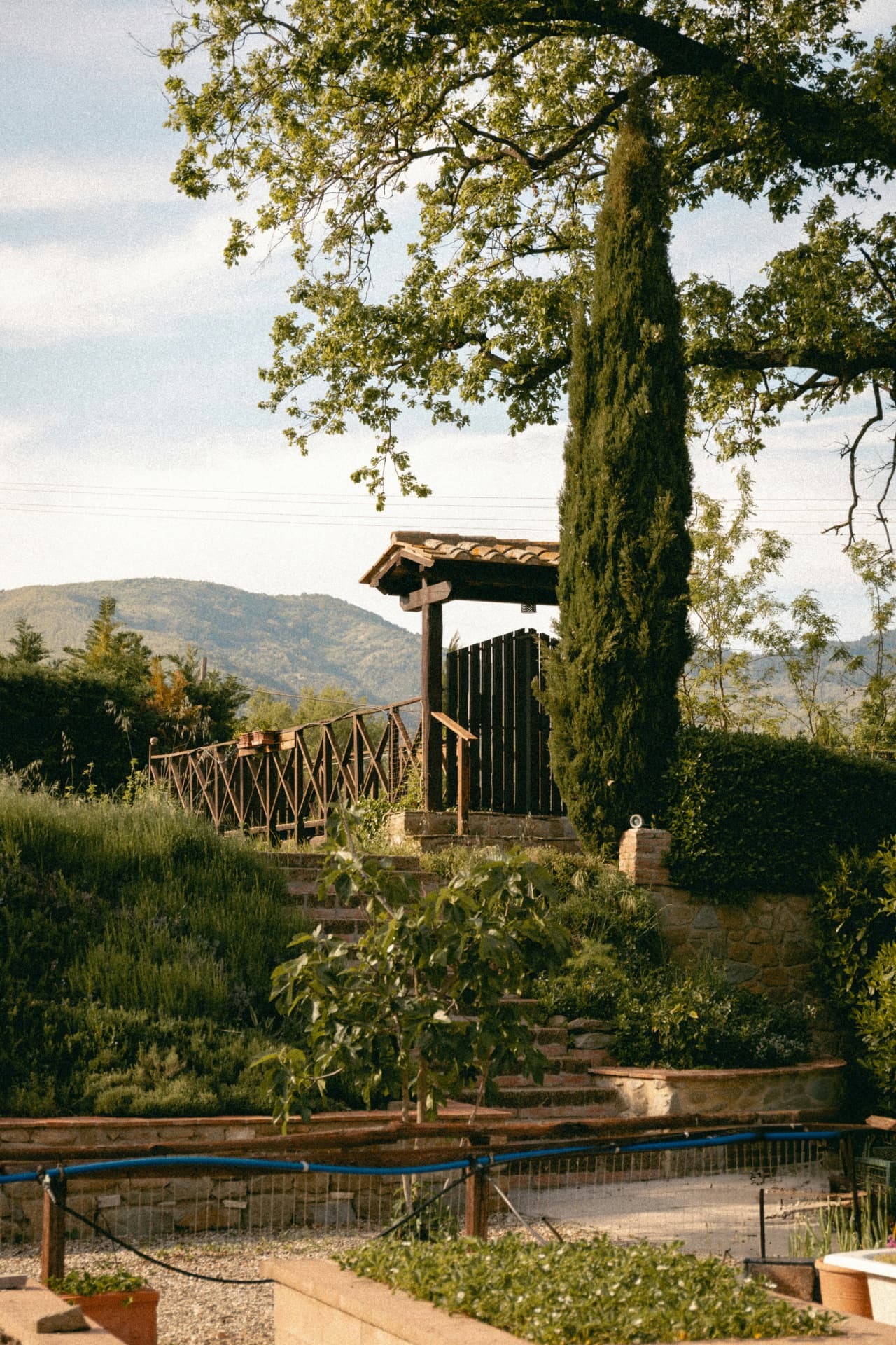 A stone garden terrace with herbs and a view of the hills