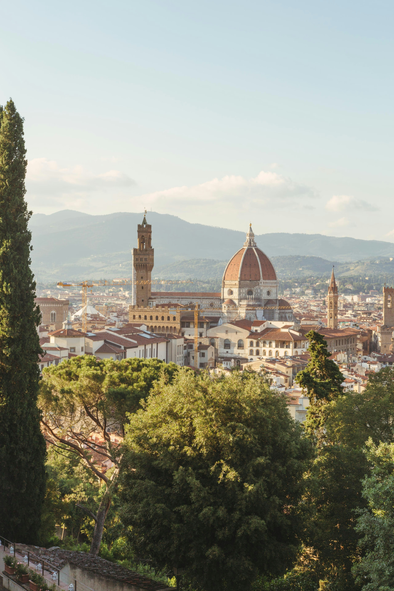 The Florence skyline and Duomo seen from a cypress-lined hillside