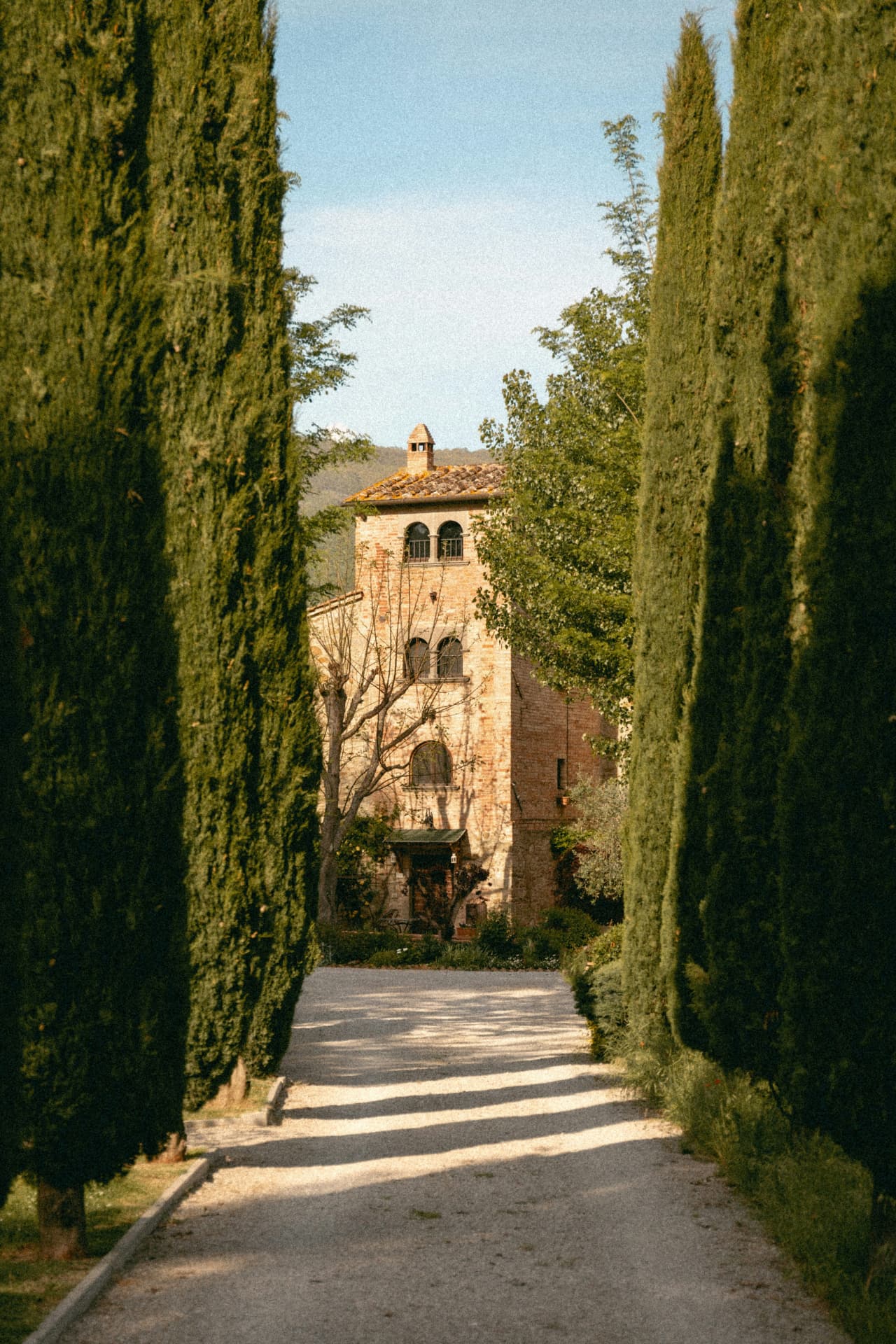 A cypress-lined gravel drive leading to a stone Tuscan villa in golden light